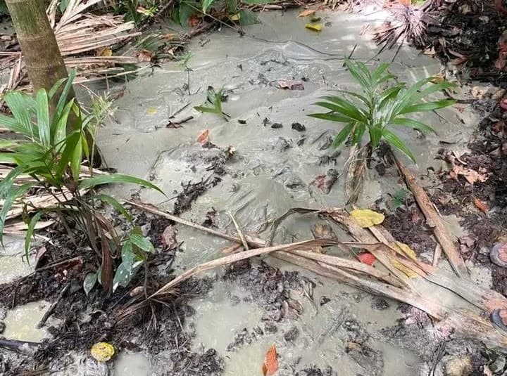 Scientific Report: Understanding Land Instability in Viqueque